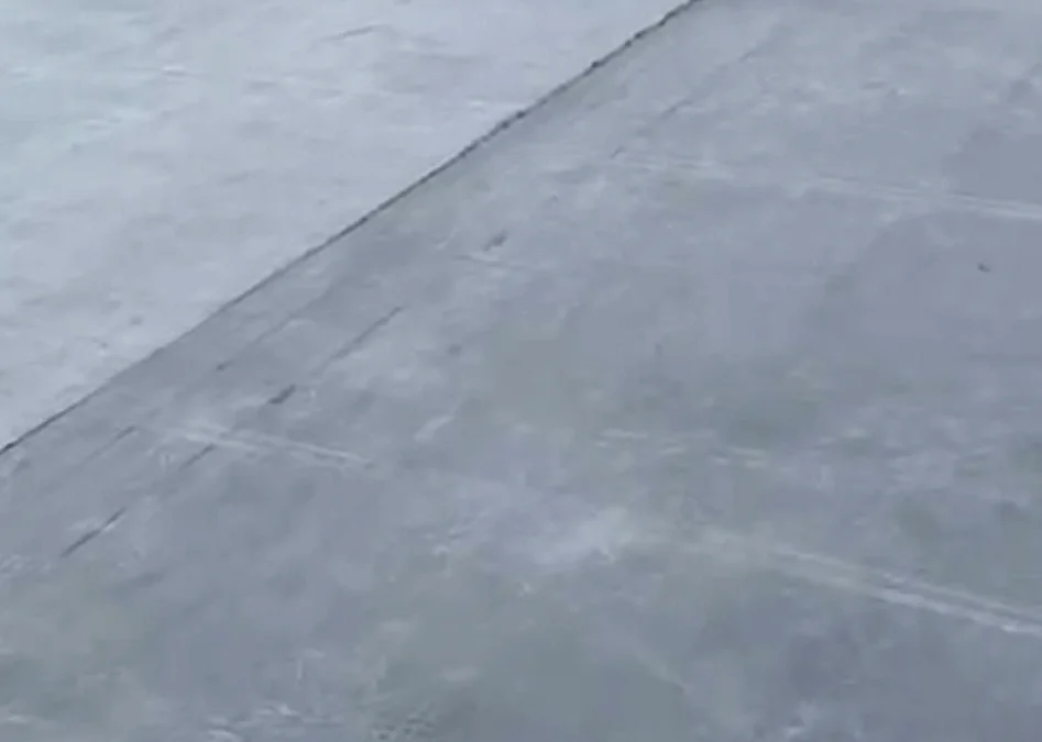 A Guide to Identifying Signs of Flat Roof Damage in Leicester